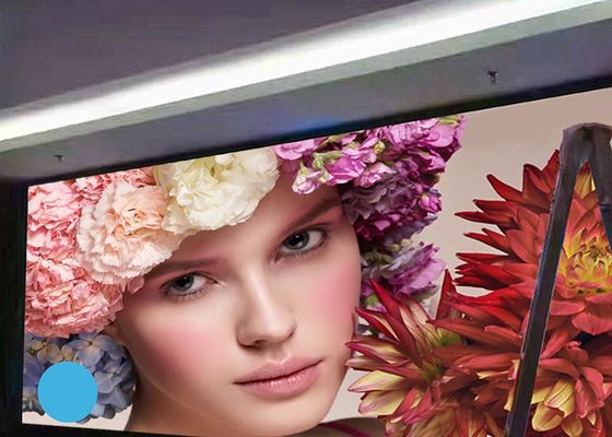 Indoor Small Pitch P1.25 800CD/㎡ LED Display Screen