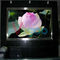 Seamless P7.62 Indoor Full Color LED Display , Remote Control Video Wall Led Display supplier