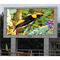 P5 Outdoor Full color LED Display supplier